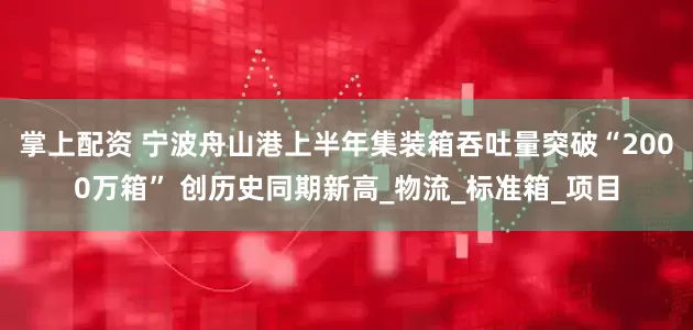 掌上配资 宁波舟山港上半年集装箱吞吐量突破“2000万箱” 创历史同期新高_物流_标准箱_项目