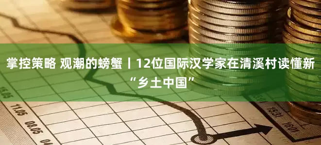掌控策略 观潮的螃蟹丨12位国际汉学家在清溪村读懂新“乡土中国”